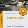 Apostila Supervisor Pedagógico Prefeitura de Pintópolis MG 2024
