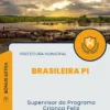 Apostila Supervisor do Programa Criança Feliz Prefeitura de Brasileira PI 2024