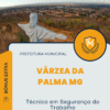 Apostila Técnico em Segurança do Trabalho Prefeitura de Várzea da Palma MG 2024