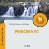 Apostila Vigia Prefeitura de Princesa SC 2024
