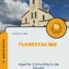 Apostila Agente Comunitário de Saúde Prefeitura de Florestal MG 2024