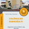 Apostila Agente Comunitário de Saúde Prefeitura de Colônia do Gurguéia PI 2024