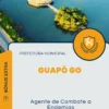 Apostila Agente de Combate a Endemias Concurso Guapó GO 2024