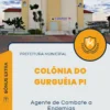 Apostila Agente de Combate a Endemias Prefeitura de Colônia do Gurguéia PI 2024