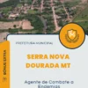 Apostila Agente de Combate a Endemias Prefeitura de Serra Nova Dourada MT 2024
