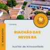 Apostila Auxiliar de Almoxarifado Câmara de Riachão das Neves BA 2024