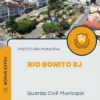 Apostila Guarda Civil Municipal Prefeitura de Rio Bonito RJ 2024