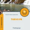 Apostila Pedagogo Prefeitura de Turvo PR 2024