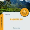 Apostila Servente Câmara de Piquete SP 2024