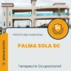Apostila Terapeuta Ocupacional Prefeitura de Palma Sola SC 2024