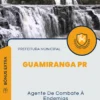 Apostila Agente De Combate À Endemias Prefeitura de Guamiranga PR 2024