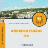 Apostila Pedagogo Prefeitura Córrego Fundo MG 2024