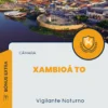 Apostila Vigilante Noturno Câmara de Xambioá TO 2024