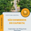 Apostila Operador de Máquinas Pesadas Prefeitura de São Domingos do Capim PA 2024