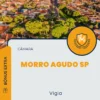 Apostila Vigia Câmara de Morro Agudo SP 2024