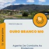Apostila Agente De Combate As Endemias Prefeitura de Ouro Branco MG 2024