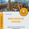 Apostila Agente De Combate Às Endemias Prefeitura de Bom Jesus da Lapa BA 2024