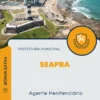 Apostila Agente Penitenciário Concurso SEAP BA 2024