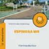 Apostila Farmacêutico Prefeitura de Espinosa MG 2024