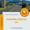 Apostila Fonoaudiólogo Prefeitura de Coronel Freitas SC 2024