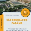 Apostila Professor De Educação Infantil E Anos Inicias 1º A 5º Ano Do Ensino Fundamental Prefeitura de São Gonçalo do Pará MG 2024