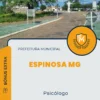 Apostila Psicólogo Prefeitura de Espinosa MG 2024