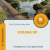 Apostila Terapeuta Ocupacional Prefeitura de Colina SP 2024