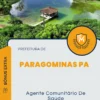 Apostila Agente Comunitário De Saúde Prefeitura de Paragominas PA 2024