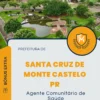 Apostila Agente Comunitário de Saúde Prefeitura de Santa Cruz de Monte Castelo PR 2024