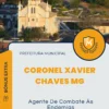 Apostila Agente De Combate Às Endemias Prefeitura de Coronel Xavier Chaves MG 2024