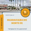 Apostila Terapeuta Ocupacional Prefeitura de Guaraciaba do Norte CE 2024