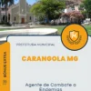 Apostila Agente de Combate a Endemias Prefeitura de Carangola MG 2024