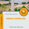 Apostila Fiscal De Posturas Prefeitura de Pedro Osório RS 2024