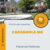 Apostila Fiscal de Posturas Prefeitura de Carangola MG 2024