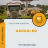 Apostila Fonoaudiólogo Prefeitura de Cacoal RO 2024