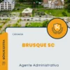 Apostila Agente Administrativo Câmara de Brusque SC 2024