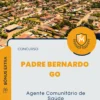 Apostila Agente Comunitário de Saúde Concurso Padre Bernardo GO 2024