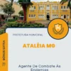 Apostila Agente De Combate Às Endemias Prefeitura de Ataléia MG 2025