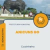 Apostila Cozinheiro Prefeitura de Anicuns GO 2024