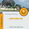 Apostila Fiscal De Posturas Prefeitura de Anicuns GO 2024