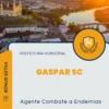 Apostila Agente Combate a Endemias Prefeitura de Gaspar SC 2024