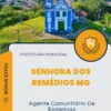 Apostila Agente Comunitário De Endemias Prefeitura de Senhora dos Remédios MG 2024