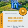 Apostila Agente Comunitário De Saúde Prefeitura de Senhora dos Remédios MG 2024