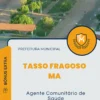 Apostila Agente Comunitário de Saúde Prefeitura de Tasso Fragoso MA 2024