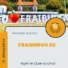 Apostila Agente Operacional Processo Seletivo de Fraiburgo SC 2024