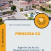 Apostila Agente de Apoio Operacional CNH categoria D Prefeitura de Princesa SC 2024
