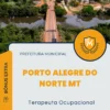 Apostila Terapeuta Ocupacional Prefeitura de Porto Alegre do Norte MT 2024