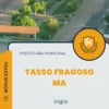 Apostila Vigia Prefeitura de Tasso Fragoso MA 2024