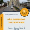 Apostila Agente Comunitário de Saúde Prefeitura de São Domingos do Prata MG 2025