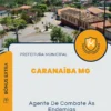 Apostila Agente De Combate Às Endemias Prefeitura de Caranaíba MG 2025